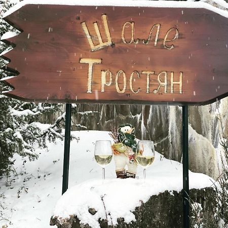 فندق سلافسكيفي  Chalet Trostian المظهر الخارجي الصورة
