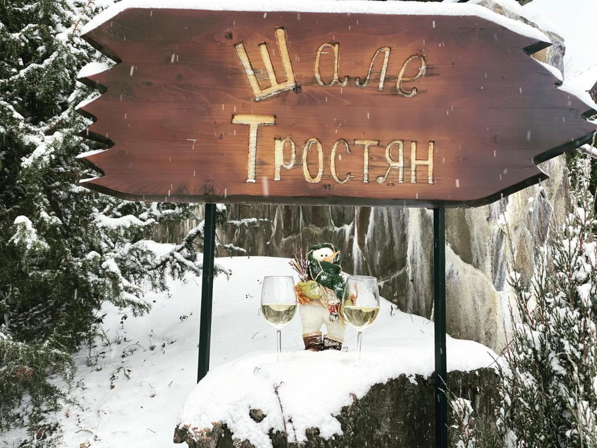 فندق سلافسكيفي  Chalet Trostian المظهر الخارجي الصورة